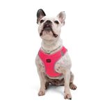 Tailpetz Air-Mesh Küçük ve Orta Irk Kedi Köpek Göğüs Tasması - Yumuşak, Nefes Alabilir, Dayanıklı (Neon-Pembe, Large)
