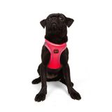 Tailpetz Air-Mesh Küçük ve Orta Irk Kedi Köpek Göğüs Tasması - Yumuşak, Nefes Alabilir, Dayanıklı (Neon-Pembe, Medium)