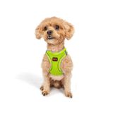 Tailpetz Air-Mesh Küçük ve Orta Irk Kedi Köpek Göğüs Tasması - Yumuşak, Nefes Alabilir, Dayanıklı (Neon-Sarı, 2XS)