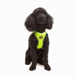 Tailpetz Air-Mesh Küçük ve Orta Irk Kedi Köpek Göğüs Tasması - Yumuşak, Nefes Alabilir, Dayanıklı (Neon-Sarı, XSmall)