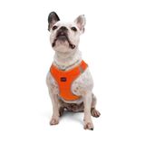 Tailpetz Air-Mesh Küçük ve Orta Irk Kedi Köpek Göğüs Tasması - Yumuşak, Nefes Alabilir, Dayanıklı (Neon-Turuncu, Large)