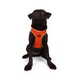 Tailpetz Air-Mesh Küçük ve Orta Irk Kedi Köpek Göğüs Tasması - Yumuşak, Nefes Alabilir, Dayanıklı (Neon-Turuncu, Medium)