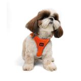 Tailpetz Air-Mesh Küçük ve Orta Irk Kedi Köpek Göğüs Tasması - Yumuşak, Nefes Alabilir, Dayanıklı (Neon-Turuncu, Small)