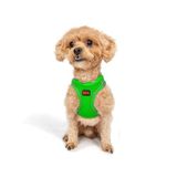 Tailpetz Air-Mesh Küçük ve Orta Irk Kedi Köpek Göğüs Tasması - Yumuşak, Nefes Alabilir, Dayanıklı (Neon-Yeşil, 2XS)