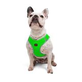 Tailpetz Air-Mesh Küçük ve Orta Irk Kedi Köpek Göğüs Tasması - Yumuşak, Nefes Alabilir, Dayanıklı (Neon-Yeşil, Large)