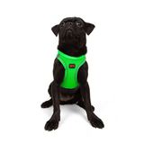 Tailpetz Air-Mesh Küçük ve Orta Irk Kedi Köpek Göğüs Tasması - Yumuşak, Nefes Alabilir, Dayanıklı (Neon-Yeşil, Medium)