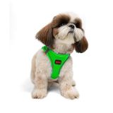 Tailpetz Air-Mesh Küçük ve Orta Irk Kedi Köpek Göğüs Tasması - Yumuşak, Nefes Alabilir, Dayanıklı (Neon-Yeşil, Small)