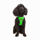 Tailpetz Air-Mesh Küçük ve Orta Irk Kedi Köpek Göğüs Tasması - Yumuşak, Nefes Alabilir, Dayanıklı (Neon-Yeşil, XSmall)