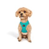 Tailpetz Air-Mesh Küçük ve Orta Irk Kedi Köpek Göğüs Tasması - Yumuşak, Nefes Alabilir, Dayanıklı (Ocean, 2XS)