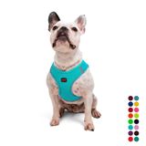 Tailpetz Air-Mesh Küçük ve Orta Irk Kedi Köpek Göğüs Tasması - Yumuşak, Nefes Alabilir, Dayanıklı (Ocean, Large)