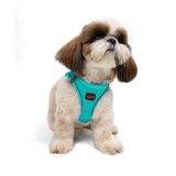 Tailpetz Air-Mesh Küçük ve Orta Irk Kedi Köpek Göğüs Tasması - Yumuşak, Nefes Alabilir, Dayanıklı (Ocean, Small)