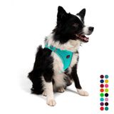 Tailpetz Air-Mesh Küçük ve Orta Irk Kedi Köpek Göğüs Tasması - Yumuşak, Nefes Alabilir, Dayanıklı (Ocean, XLarge)