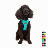 Tailpetz Air-Mesh Küçük ve Orta Irk Kedi Köpek Göğüs Tasması - Yumuşak, Nefes Alabilir, Dayanıklı (Ocean, XSmall)