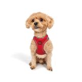 Tailpetz Air-Mesh Küçük ve Orta Irk Kedi Köpek Göğüs Tasması - Yumuşak, Nefes Alabilir, Dayanıklı (Parlak Kırmızı, 2XS)