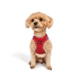 Tailpetz Air-Mesh Küçük ve Orta Irk Kedi Köpek Göğüs Tasması - Yumuşak, Nefes Alabilir, Dayanıklı (Parlak Kırmızı, 3XS)