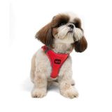 Tailpetz Air-Mesh Küçük ve Orta Irk Kedi Köpek Göğüs Tasması - Yumuşak, Nefes Alabilir, Dayanıklı (Parlak Kırmızı, S)