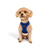 Tailpetz Air-Mesh Küçük ve Orta Irk Kedi Köpek Göğüs Tasması - Yumuşak, Nefes Alabilir, Dayanıklı (Saks, 2XS)