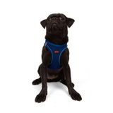 Tailpetz Air-Mesh Küçük ve Orta Irk Kedi Köpek Göğüs Tasması - Yumuşak, Nefes Alabilir, Dayanıklı (Saks, Medium)