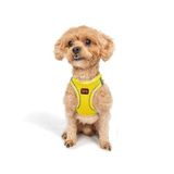Tailpetz Air-Mesh Küçük ve Orta Irk Kedi Köpek Göğüs Tasması - Yumuşak, Nefes Alabilir, Dayanıklı (Sarı, 2XS)