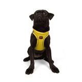 Tailpetz Air-Mesh Küçük ve Orta Irk Kedi Köpek Göğüs Tasması - Yumuşak, Nefes Alabilir, Dayanıklı (Sarı, M)