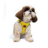 Tailpetz Air-Mesh Küçük ve Orta Irk Kedi Köpek Göğüs Tasması - Yumuşak, Nefes Alabilir, Dayanıklı (Sarı, S)