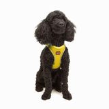 Tailpetz Air-Mesh Küçük ve Orta Irk Kedi Köpek Göğüs Tasması - Yumuşak, Nefes Alabilir, Dayanıklı (Sarı, XS)
