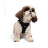 Tailpetz Air-Mesh Küçük ve Orta Irk Kedi Köpek Göğüs Tasması - Yumuşak, Nefes Alabilir, Dayanıklı (Siyah, Small)