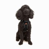 Tailpetz Air-Mesh Küçük ve Orta Irk Kedi Köpek Göğüs Tasması - Yumuşak, Nefes Alabilir, Dayanıklı (Siyah, XSmall)