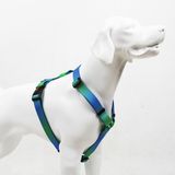 TailPetz Amazon H-Tipi Göğüs Tasması Ayarlanabilir, Konforlu ve Dayanıklı Desenli Köpek Tasması XS