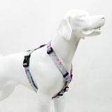 Tailpetz Bubbles H-tipi Göğüs Tasması Ayarlanabilir, Konforlu Ve Dayanıklı Desenli Köpek Tasması - XS