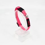 Tailpetz Güvenli Kilitli Kedi Boyun Tasması (Neon-Pembe)
