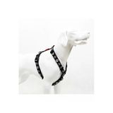 Tailpetz H-Tip Boo Xs Çok Küçük Irk Köpek Göğüs Tasması (Göğüs 23 Cm X 38 Cm)
