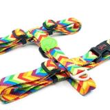 Tailpetz H-Tip Rainbow S Küçük Irk Köpek Göğüs Tasması (Göğüs 32 cm x 51 Cm)