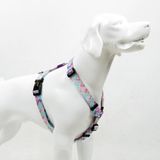 Tailpetz H-Tipi Göğüs Tasması Ayarlanabilir, Konforlu ve Dayanıklı Desenli Köpek Tasması (SMALL, BUBBLES)