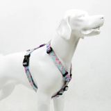 Tailpetz Harness Bubbles 32-51 cm Küçük Irk Köpek Göğüs Tasması