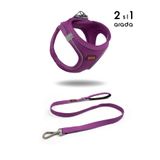 Tailpetz Kedi Köpek Air-Mesh Göğüs Tasması ve Gezdirme Sevk Kayışı Seti 2Sİ1 ARADA Mor