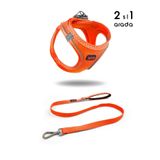 Tailpetz Kedi Köpek Air-Mesh Göğüs Tasması ve Gezdirme Sevk Kayışı Seti 2Sİ1 ARADA Neon Turuncu