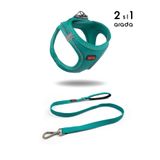 Tailpetz Kedi Köpek Air-Mesh Göğüs Tasması ve Gezdirme Sevk Kayışı Seti 2Sİ1 ARADA Yeşil