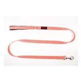Tailpetz Match 140 cm/2 cm Somon M Köpek Gezdirme Kayışı