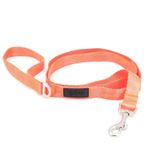 Tailpetz Neo Turuncu Medium Leash Köpek Gezdirme Tasması