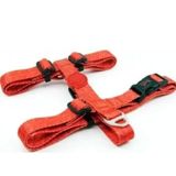 Tailpetz Prism H Harness S Köpek Göğüs Tasması
