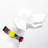 Tailpetz Spirit Boyun Tasması Ayarlanabilir Dayanıklı Ve Konforlu Köpek Desenli - XS