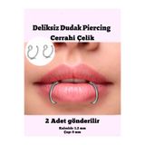 TakıConcept Paslanmaz Çelik Deliksiz Piercing Dudak Piercing Fake Piercing 2 ADET