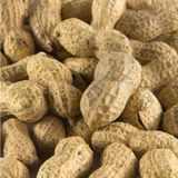 Talas Kuruyemiş Çiğ Kabuklu Yer Fıstığı 500 G