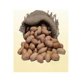 Talas Kuruyemiş Çiğ Yer Fıstığı İçi 100 G