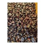 Talas Kuruyemiş Kırmızı Yaban Mersini Kurusu 100 G