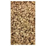 Talas Kuruyemiş Orta Boy Antep Fıstığı 2 Kg