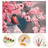 Tale Hobby Kuş ve Çiçek - Sayılarla Boyama Seti Kasnağa Gerili 40x50cm Boyalar ve Fırçalar Dahil