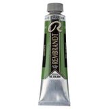 Talens Rembrandt Extra-Fine Seri 2 Sap Green 623 40 ml Yağlı Boya