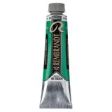 Talens Rembrandt Extra-Fine Seri 3 Permanent Green Deep 619 40 ml Yağlı Boya